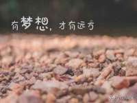 河南省橙韵信息技术有限公司