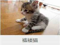 河南省橙韵信息技术有限公司