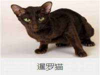 河南省橙韵信息技术有限公司
