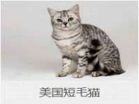 河南省橙韵信息技术有限公司