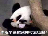河南省橙韵信息技术有限公司