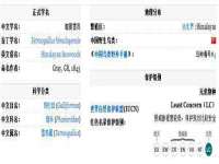 河南省橙韵信息技术有限公司