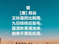 河南省橙韵信息技术有限公司