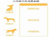河南省橙韵信息技术有限公司