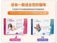 河南省橙韵信息技术有限公司