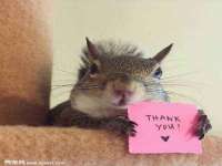 河南省橙韵信息技术有限公司
