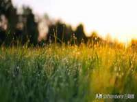 河南省橙韵信息技术有限公司
