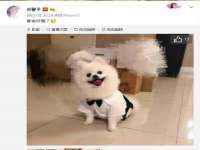 河南省橙韵信息技术有限公司