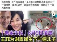 河南省橙韵信息技术有限公司