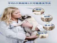 河南省橙韵信息技术有限公司