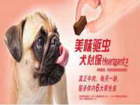 河南省橙韵信息技术有限公司