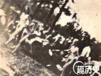 河南省橙韵信息技术有限公司