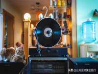 河南省橙韵信息技术有限公司